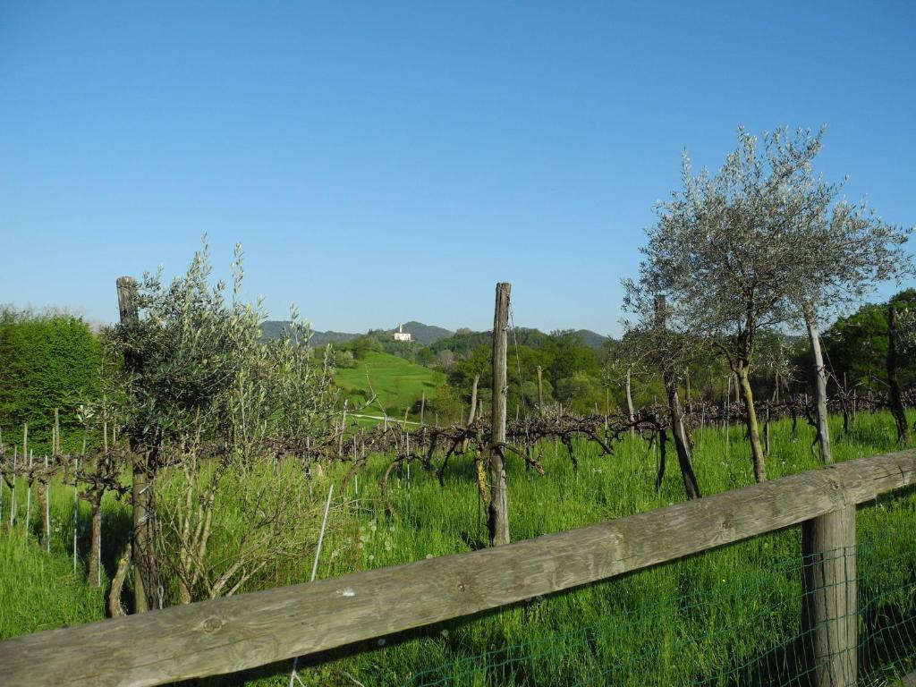 Villa Agriturismo Cornolere Castelcucco Exterior foto