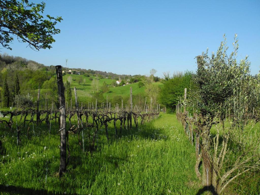 Villa Agriturismo Cornolere Castelcucco Exterior foto